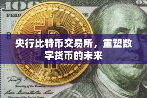 央行比特币交易所，重塑数字货币的未来