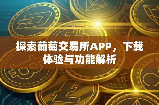 探索葡萄交易所APP，下载体验与功能解析