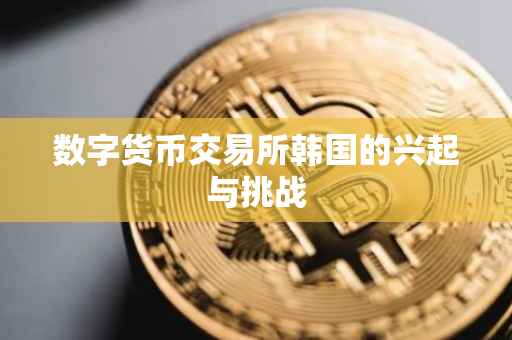 数字货币交易所韩国的兴起与挑战