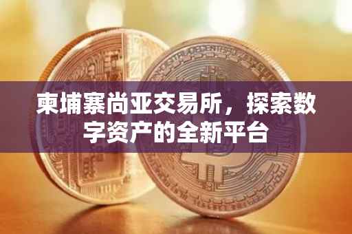 柬埔寨尚亚交易所，探索数字资产的全新平台
