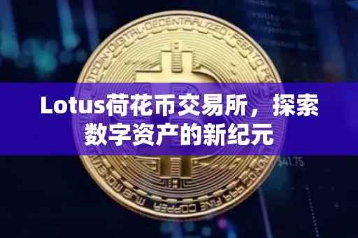 Lotus荷花币交易所，探索数字资产的新纪元