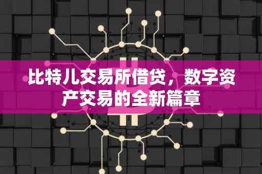 比特儿交易所借贷，数字资产交易的全新篇章