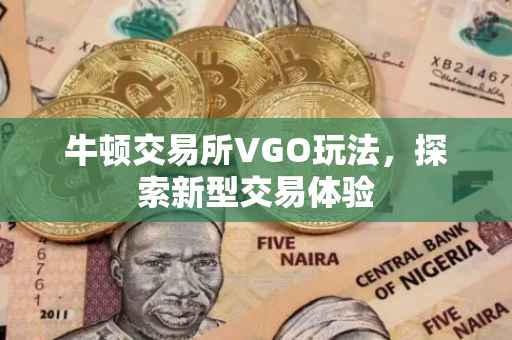 牛顿交易所VGO玩法，探索新型交易体验