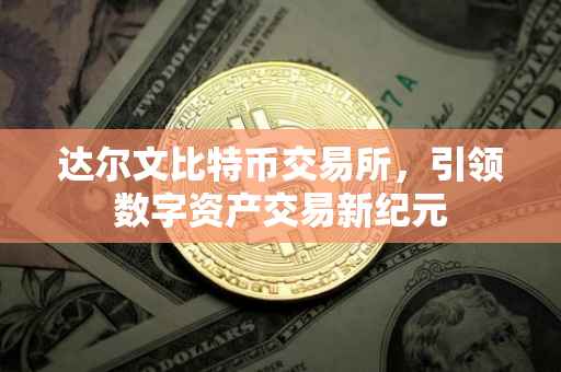 达尔文比特币交易所，引领数字资产交易新纪元