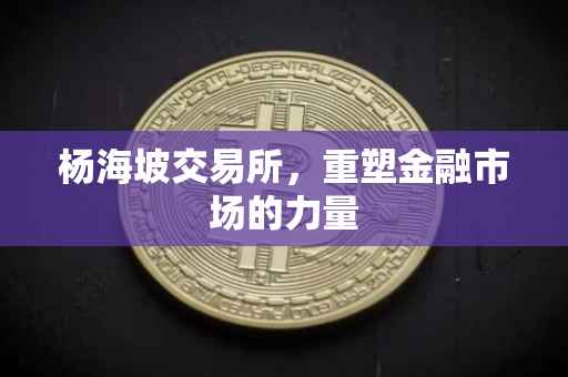 杨海坡交易所，重塑金融市场的力量