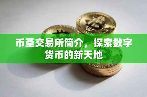币圣交易所简介，探索数字货币的新天地