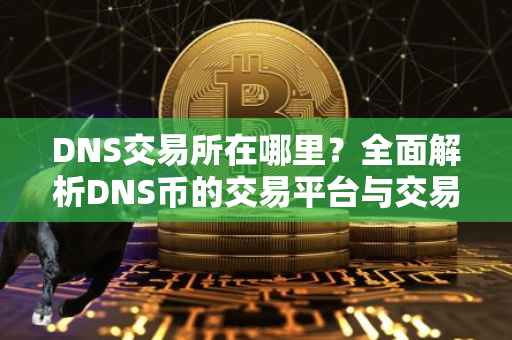 DNS交易所在哪里？全面解析DNS币的交易平台与交易流程
