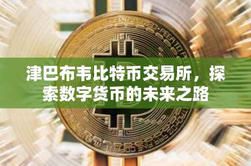 津巴布韦比特币交易所，探索数字货币的未来之路