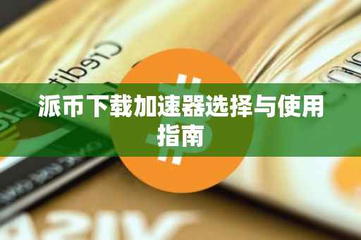 派币下载加速器选择与使用指南