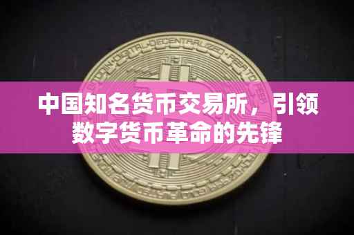 中国知名货币交易所，引领数字货币革命的先锋