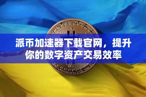 派币加速器下载官网，提升你的数字资产交易效率