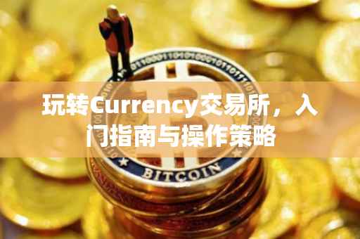 玩转Currency交易所，入门指南与操作策略