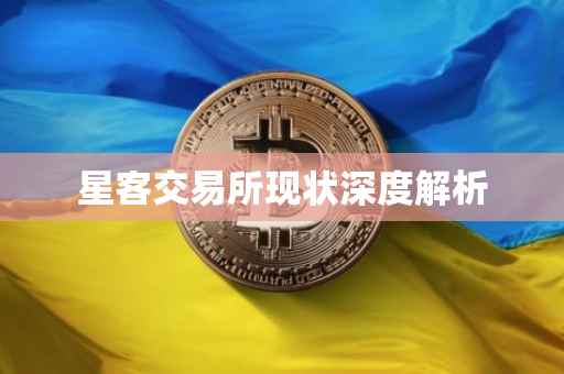 星客交易所现状深度解析