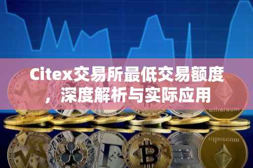 Citex交易所最低交易额度，深度解析与实际应用