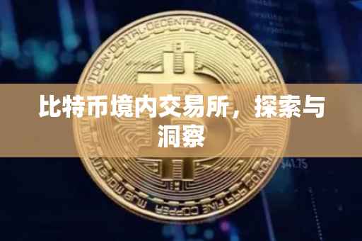 比特币境内交易所，探索与洞察
