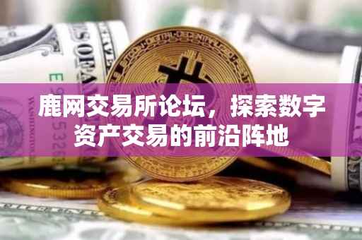鹿网交易所论坛，探索数字资产交易的前沿阵地