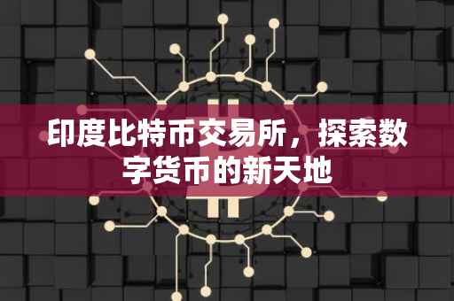 印度比特币交易所，探索数字货币的新天地