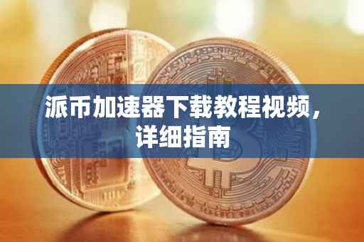 派币加速器下载教程视频，详细指南