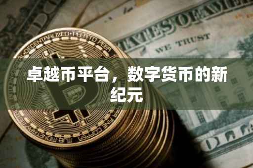 卓越币平台，数字货币的新纪元