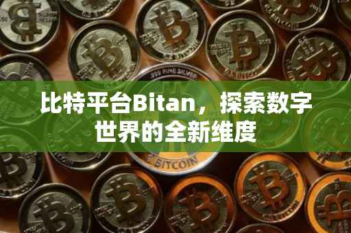 比特平台Bitan，探索数字世界的全新维度
