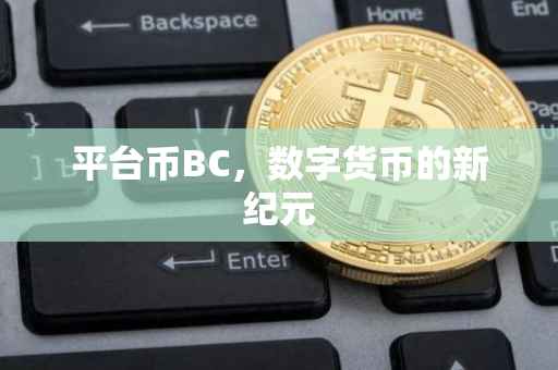 平台币BC，数字货币的新纪元