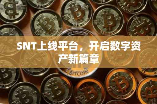 SNT上线平台，开启数字资产新篇章