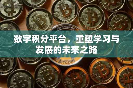 数字积分平台，重塑学习与发展的未来之路