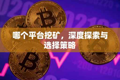 哪个平台挖矿，深度探索与选择策略