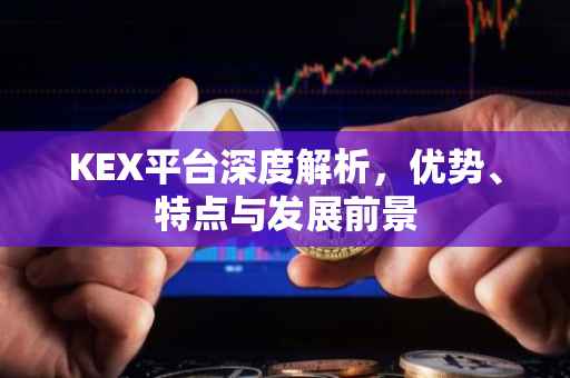 KEX平台深度解析，优势、特点与发展前景
