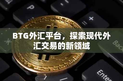 BTG外汇平台，探索现代外汇交易的新领域