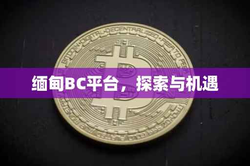 缅甸BC平台，探索与机遇