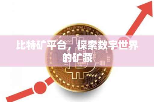 比特矿平台，探索数字世界的矿藏