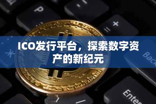 ICO发行平台，探索数字资产的新纪元
