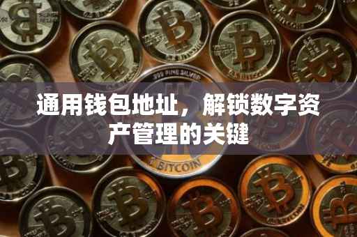 通用钱包地址，解锁数字资产管理的关键