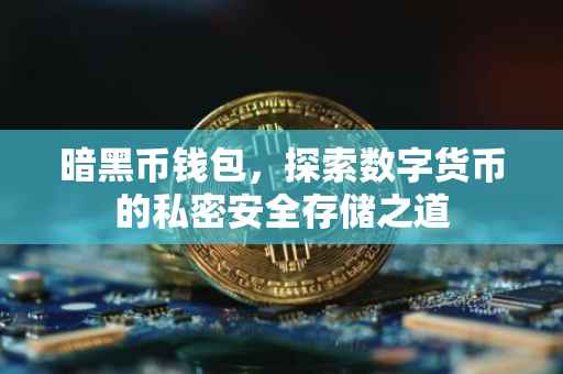 暗黑币钱包，探索数字货币的私密安全存储之道