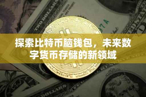 探索比特币脑钱包，未来数字货币存储的新领域