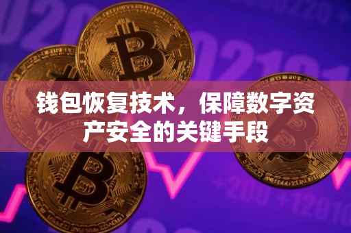 钱包恢复技术，保障数字资产安全的关键手段