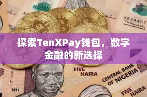 探索TenXPay钱包，数字金融的新选择