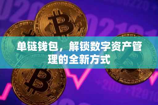 单链钱包，解锁数字资产管理的全新方式