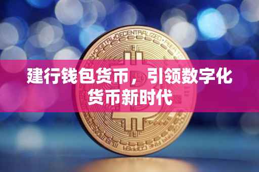 建行钱包货币，引领数字化货币新时代