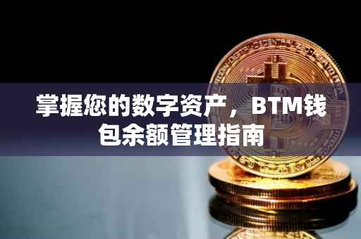 掌握您的数字资产，BTM钱包余额管理指南