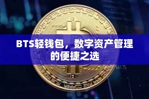 BTS轻钱包，数字资产管理的便捷之选