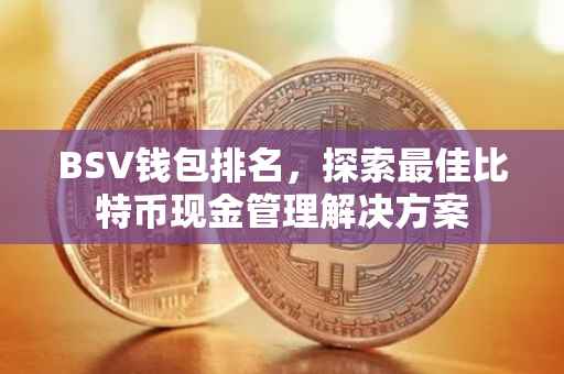 BSV钱包排名，探索最佳比特币现金管理解决方案