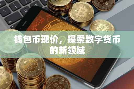 钱包币现价，探索数字货币的新领域