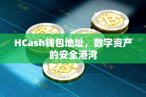 HCash钱包地址，数字资产的安全港湾
