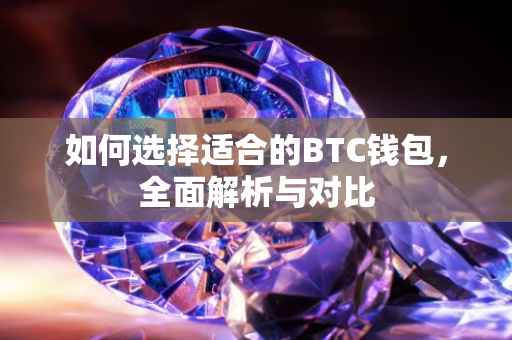 如何选择适合的BTC钱包，全面解析与对比