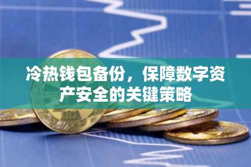 冷热钱包备份，保障数字资产安全的关键策略