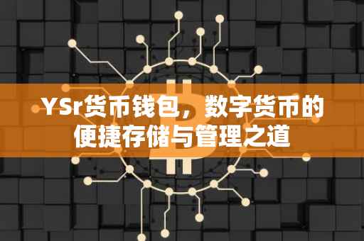 YSr货币钱包，数字货币的便捷存储与管理之道