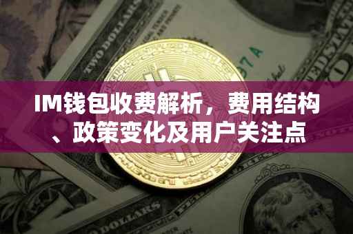IM钱包收费解析，费用结构、政策变化及用户关注点