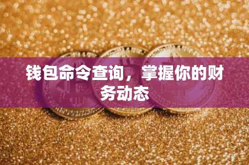 钱包命令查询，掌握你的财务动态
